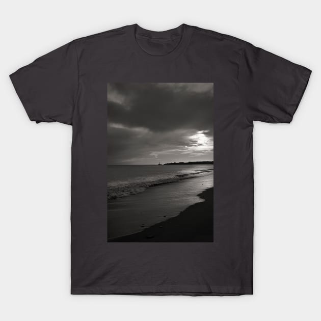 Just as the sun was rising T-Shirt by Violaman